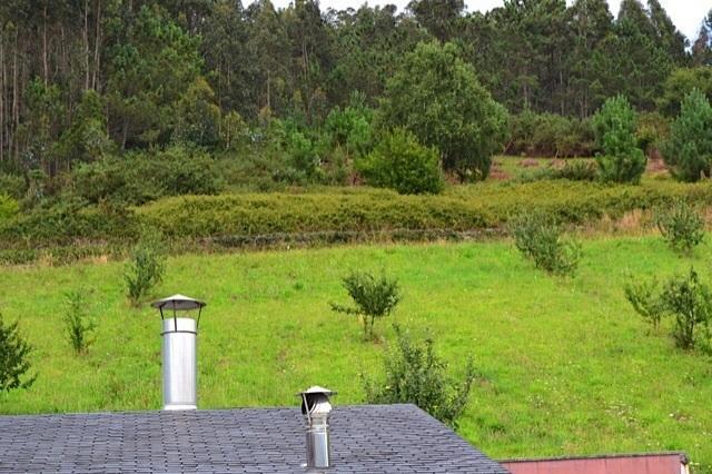 Apartamentos Rurales Casa Ron Coana Kültér fotó