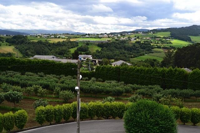 Apartamentos Rurales Casa Ron Coana Kültér fotó